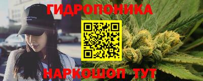 индика Ливны