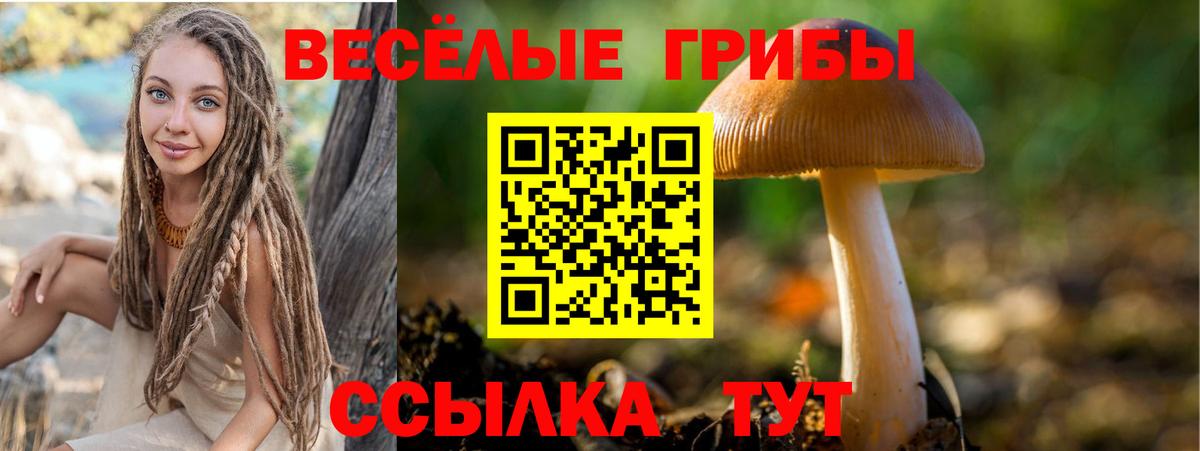 Энгельс  Псилоцибиновые грибы Magic Shrooms  Галлюциногенные грибы GOLDEN TEACHER  Вход с VPN 